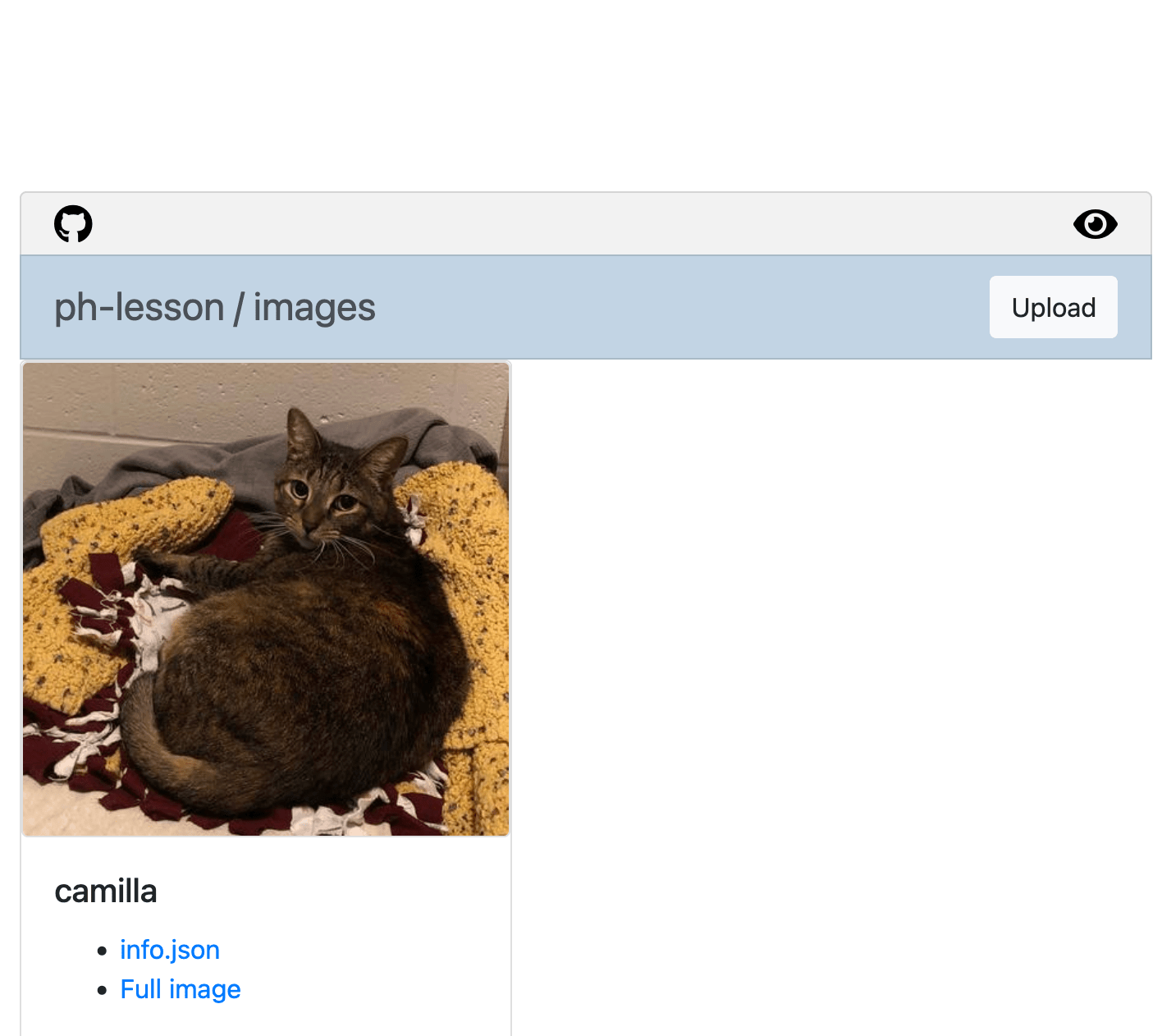 The Images dashboard of the IIIF Workbench web interface. In a small box, processed image of a cat resting on a blanket, with the caption 'camilla,' and links to 'info.json' and 'Full image' below.